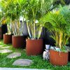 Cor-Ten Steel Planters