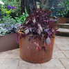 Corten Steel Planters