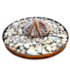 Luna Firebowl with Steel Frame outdoor fire pit
