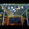 Pergola with Autumn Leaf Pattern in White Powder Coated Aluminium