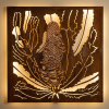 Banksia Cone 2 - simple RUST backlit