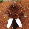 The Waratah Garden Sculpture