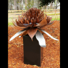 The Waratah Garden Sculpture