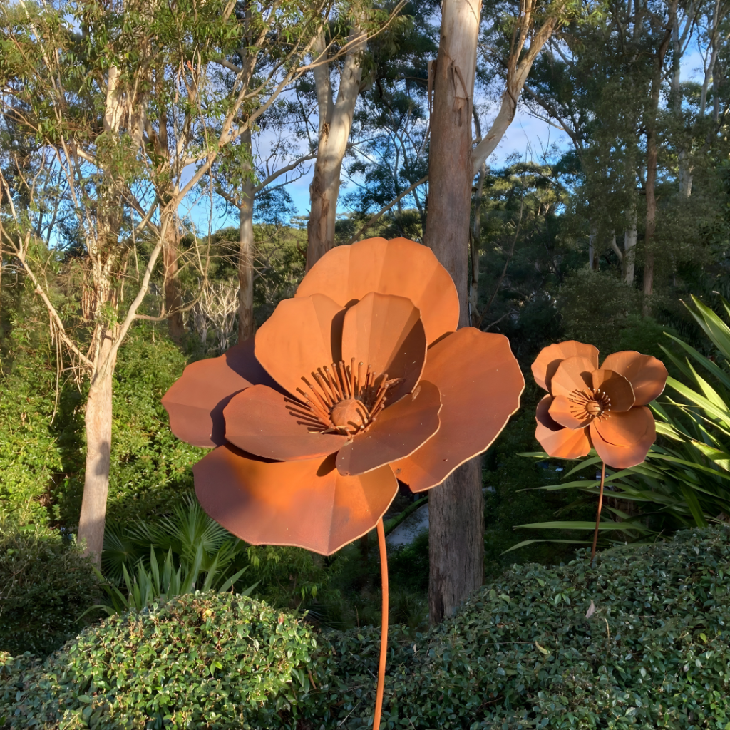 Poppy