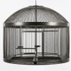 Custom Bird Sanctuary